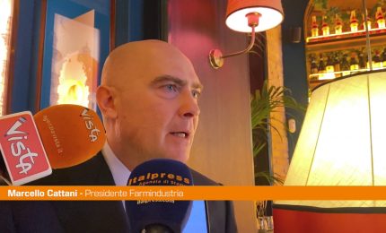 Manovra, Cattani "Serve sforzo per spesa diretta della farmaceutica"