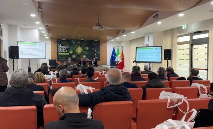 Si conclude a Palermo il viaggio di "Energie della Sicilia"