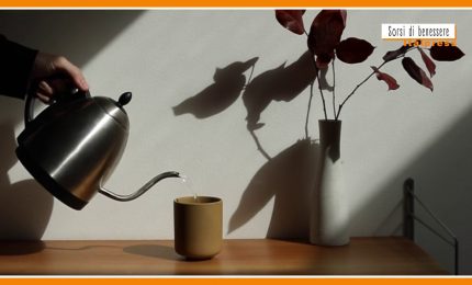 Sorsi di benessere - T&egrave; rosso africano? Ecco come gustarlo al meglio