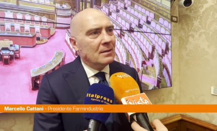 Cattani "Tanta strada da fare per raggiungere l&rsquo;equit&agrave; di genere"