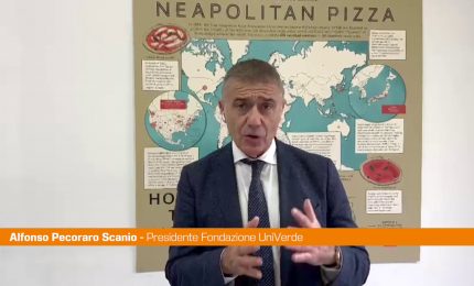 Pecoraro Scanio &ldquo;La pizza &eacute; cibo amico di ambiente e salute"