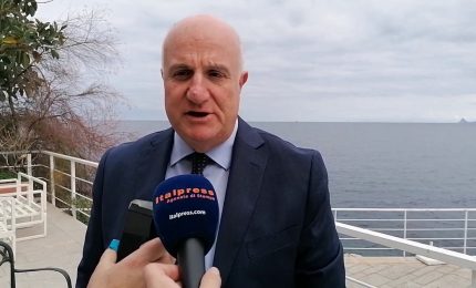 Fi, Caruso "Fondamentale per la politica italiana ed europea"