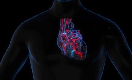 400 mila italiani con obesit&agrave; e scompenso cardiaco