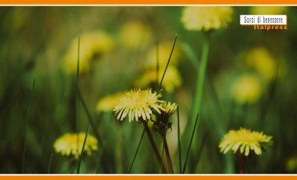 Sorsi di benessere - Ecco una tisana per affrontare i mesi pi&ugrave; freddi