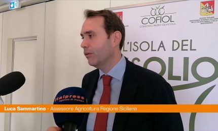 Sammartino &ldquo;Olio siciliano registra una qualit&agrave; straordinaria"
