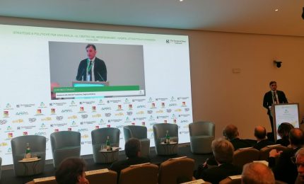 Piano industriale 2030, Tamajo &ldquo;La Sicilia ha un potenziale straordinario&rdquo;