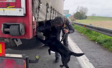 Traffico di droga da Spagna e Marocco, smantellata organizzazione