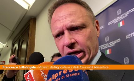 Sardegna, Lollobrigida "Todde pi&ugrave; attrattiva, coalizione positiva"