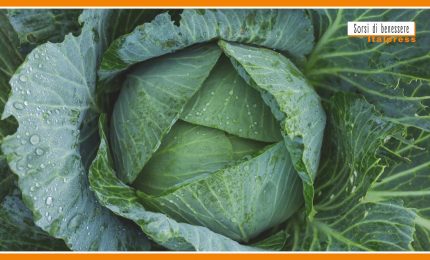 Sorsi di benessere - Una gustosa ricetta per adulti e bambini