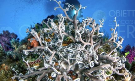 Parco Nazionale Pantelleria aderisce a concorso fotografico &ldquo;Obiettivo Terra&rdquo;