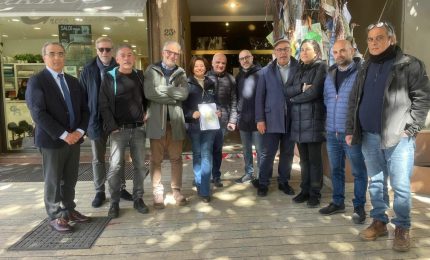 Una task force di agronomi per curare l&rsquo;albero Falcone a Palermo