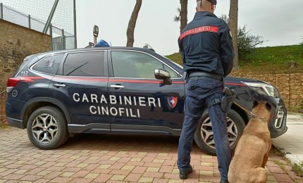 Stampava soldi e documenti falsi e in casa aveva armi, arresto a Palermo
