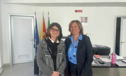 Policlinico Palermo, Ada Florena nuovo direttore di Anatomia patologica