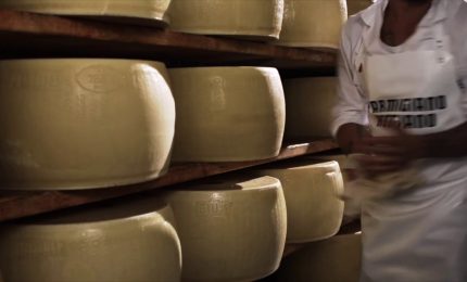 Fatturato record per il Parmigiano Reggiano nel 2023