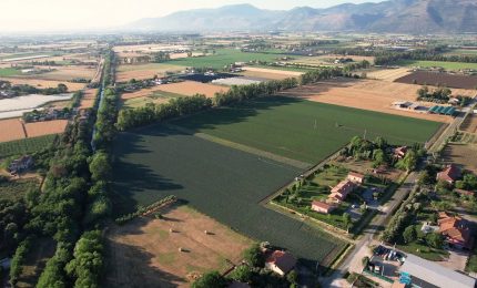 Findus accelera sulla sostenibilit&agrave;