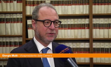 Giornata Mondiale del Rene, Mul&egrave; "Presentata pdl per screening adulti"