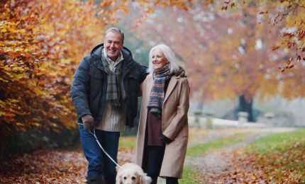 Pensioni, in Italia sfiorano i 18 milioni