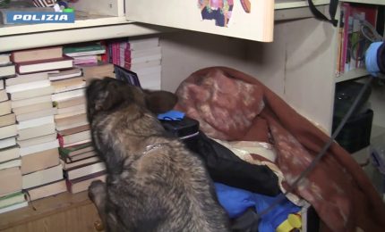 Sgominata piazza di spaccio a Trapani, dieci arrestati