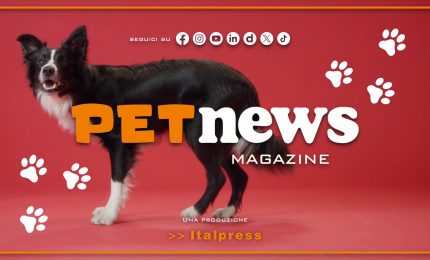PetNews Magazine - 17/4/2024