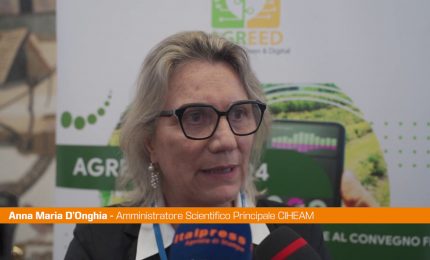 Agricoltura, D&rsquo;Onghia "Con Agreed possibile rilevare fitopatologie"