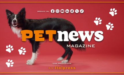 PetNews Magazine - 23/4/2024