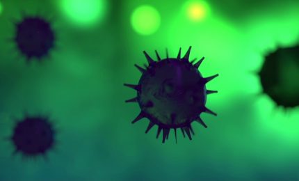 Le malattie infettive una delle grandi sfide della sanit&agrave; mondiale