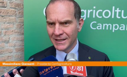 Ue, Giansanti "Con aiuti di Stato il Patto di Stabilit&agrave; va ripensato"