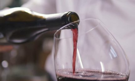 Per il vino italiano 16 miliardi di fatturato