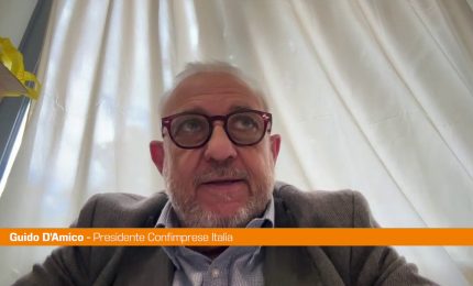 D'Amico "Per le Pmi semplificazione burocratica ancora lontana"