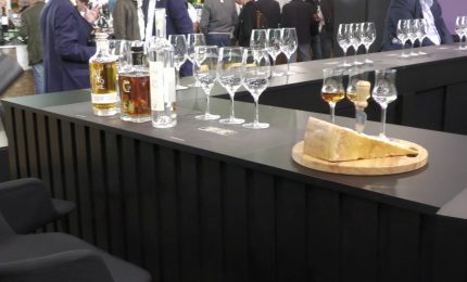 Parmigiano Reggiano, a Vinitaly il matrimonio con Grappa del Trentino