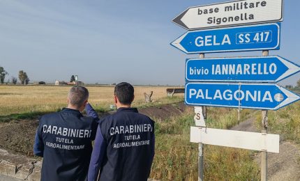 Truffa ai danni dell&rsquo;UE, sequestrati beni per oltre 441 mila euro