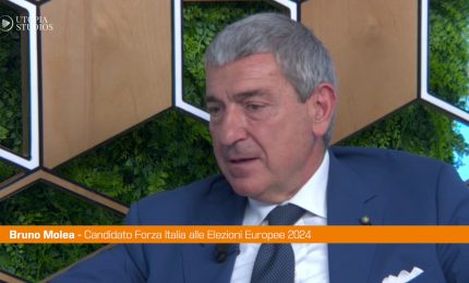 Europee, Molea "L'Ue assegni pi&ugrave; fondi al Terzo settore"