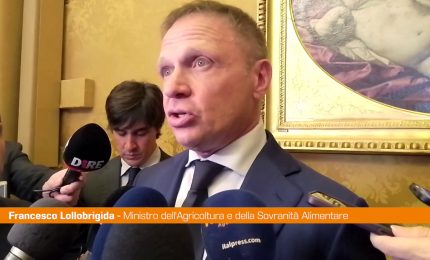 Dl Agricoltura, Lollobrigida "Emendamento sulla siccit&agrave; in Sicilia"