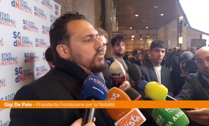 Natalit&agrave;, De Palo "Non si possono fare divisioni su questi temi"