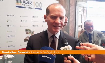 Giansanti "Investire in sostenibilit&agrave; rende agricoltura competitiva"