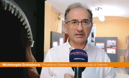 Gruttadauria "Sistemi museali sono un valore aggiunto per Universit&agrave;"