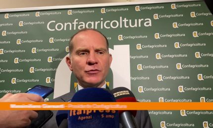 Giansanti "Il settore agroalimentare &egrave; diventato strategico per Paese"