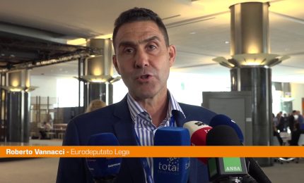 Ue, Vannacci "La mia missione durer&agrave; cinque anni"