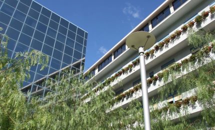 Al Giglio di Cefal&ugrave; il percorso chirurgico del paziente in app per i familiari