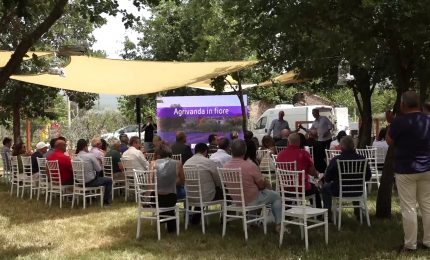 Eni, con Agrivanda una nuova idea di sostenibilit&agrave; ambientale