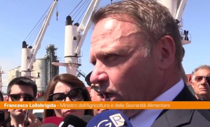 Lollobrigida "Il grano non pu&ograve; essere un'arma per la Russia"