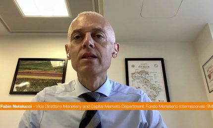 Natalucci (Fmi) "La salute del sistema finanziario &egrave; migliorata"