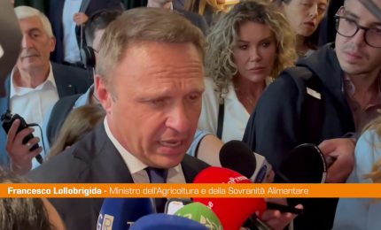 Lollobrigida "Fatti accaduti in Parlamento stonano durante il G7"