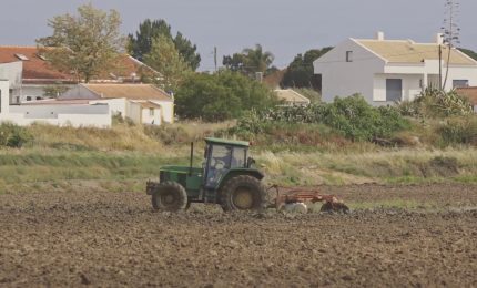 Crescita record per le polizze agricole agevolate nel 2023