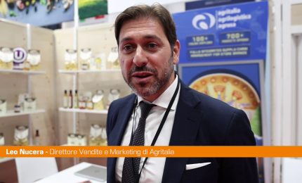 Made in Italy, Nucera "Export agroalimentare da record negli Usa"