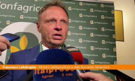 Agricoltura, Lollobrigida "Con sistema fiscale omogeneo pi&ugrave; certezze"