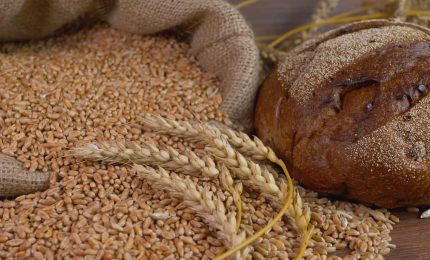 L'Indice mondiale dei prezzi alimentari &egrave; aumentato a maggio