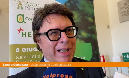 Siccit&agrave;, Gambuzza "Servono infrastrutture"