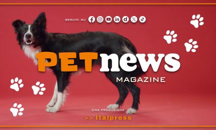 PetNews Magazine - 5/6/2024