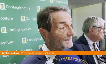 Autonomia, Fontana "Referendum sarebbe contro Costituzione"